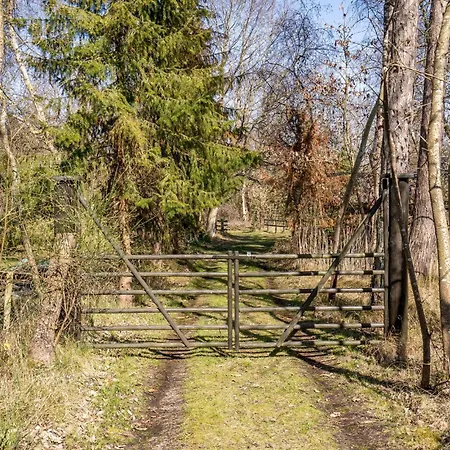 Pet Friendly In With Wifi